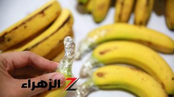 هيقعد معاك سنة بحالها.. طريقة تخزين الموز لأطول فترة ممكنة في الفريزر بدون ما يسود أو يتغير لونه