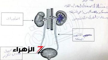 “مصر كلها أتقلبت”..إجابة طالب في الأمتحان تثير دهشة المصحح |أغرب إجابة ممكن تشوفها في حياتك ؟