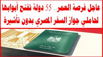 عاجل فرصة العمر.. 55 دولة تفتح أبوابها للمصريين دون تأشيرة بجواز ساري فقط| هتلف العالم