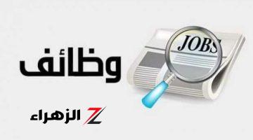 وظائف خالية.. الحكومة تعلن عن توافر 5548 فرصة عمل جديدة بـ11 محافظة