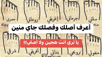 “شوف أنت أصلك منين؟؟؟” .. من شكل “قدمك” تعرف على أصولك ونسب عائلتك … يا تري أنت هجين ولا متأصل.!!