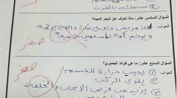 “إجابة طالب قلبت الدنيا”… اجابة طالب في الامتحان بطريقة غريبه حيرت الأساتذة والمشاهدين وجعلتهم في حالة صدمة .. معقوله اللي كتبه ده؟؟؟؟