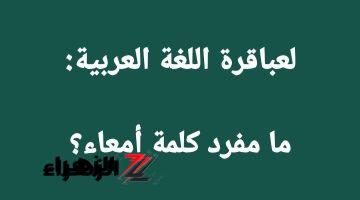 «سقطت آلاف الطلاب».. ما هو مفرد كلمة «أمعاء» في اللغة العربية التي حيرت المعلمين؟ أتحداك تعرف تحلها لوحدك!!