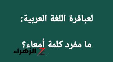 ″محدش عرف يحلها خالص″.. ما هو مفرد كلمة أمعاء في اللغة العربية التي سقط بسببها الاف الطلاب في الثانوية العامة؟؟