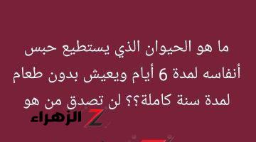 أذهل العالم بأسره .. حيوان خارق يعيش بدون تنفس لمدة 6 أيام وبدون طعام لمدة عام موجود في مصر .. لن تصدق من هو؟