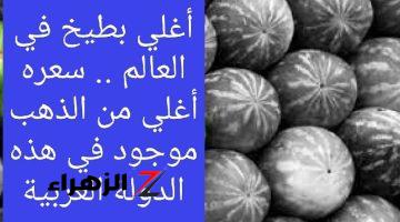 شاب فقير الحال ينجح في زراعة أغرب نوع بطيخ “البطيخ الأسود” سعر الحبة 6000 دولار زراعته لا تحتاج لمجهود ولا فلوس .. تعرف علي طريقة زراعته قبل فوات الأوان