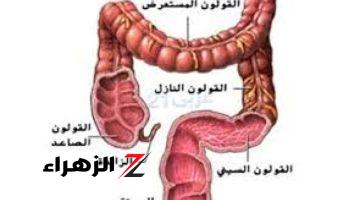 عشبة سحرية.. سيدة الأعشاب الطبيعية | تنظف القولون من البراز المتحجر.. إعجاز رباني دون تدخل الطبيب