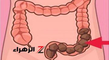 «دون الحاجة للطبيب».. شابة أردنية تكشف عن عشبة جبارة موجودة في كل مطبخ تنظف القولون في 5 دقائق وتعتبر الحل الأمثل للتخلص من البراز المتحجر!!!؟