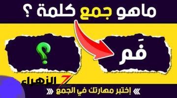 أغلب الطلاب سقطوا بسببها .. ما هو جمع كلمة “فم” في قاموس اللغة العربية التي أثارت الجدل بين الطلاب؟! .. خبير لغوي يوضح الإجابة الصحيحة اعرفها فوراً