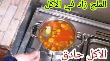 “حطي نص معلقة منه وانسي الملح نهائي!”.. كيف يمكن التخلص من الملح الزائد في الطعام دون أن يفسد !!