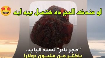 “بيعها واشترى فيلا وعربية “.. زلطة أغلى من الذهب واحدة منها هتكسبك مليون دولار وتبقا من الأغنياء.. اعرف شكلها ومتضيعش وقت!!