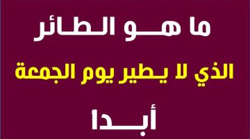 “لغز حير الملايين في مصر “.. هل تعلم من هو الطائر الذي لا يطير يوم الجمعة؟!.. شغل دماغك وجاوب صح يا عبقرى!!