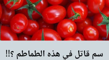 “اوعي تشتريها لو هتموت من الجوع”.. علامات إذا ظهرت على الطماطم تعنى انها مسرطنة وفيها سم قاتل .. الموضوع مافيهوش هزار!!