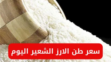 “الفلاحين طايرين من الفرحة “.. سعر طن الأرز والشعير في جميع الأسواق والمحلات اليوم 2024 .. خزني قبل مايغلى!!