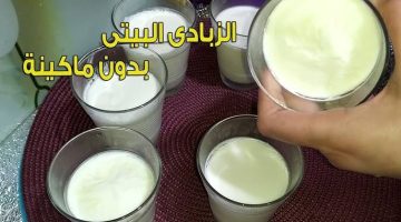 “عيالك هياخدوها المدرسة”.. طريقة عمل الزبادي الأصلي في البيت بكيلو لبن واحد فقط.. هتفتحي مصنع زبادي!!