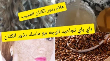 “عشبة سحرية هترجع العجوزة صبية”.. اعملى ماسك من هذه البذور كل يوم لتفتيح البشرة مستحيل تستغني عنها بعد النهارده.. هاتي ب 5 جنيه وتعالي!!