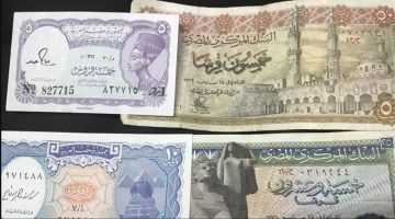 “قوم بيعهم واشترى عربية وبيت”.. هل تمتلك الشلن أو البريزة بهذه العلامات؟! تعرف على أماكن بيعها بأسعار تصل لـ 100 ألف جنيه!!