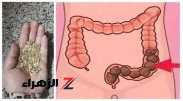 “معجزة ربانية من السماء “.. هذه العشبة السحرية منتشرة في الأسواق تقضي على جميع مشاكل القولون العصبى والبراز المتحجر وتعالج الأمعاء والنتيجة من أول مرة .. مستحيل تستغني عنها بعد النهارده!!