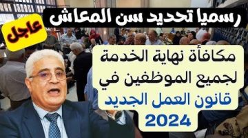 “الف مليون مبروووك”.. الحكومة تعلن تحديد سن التقاعد الرسمي للمعاش ومكافأة نهاية الخدمة حسب قانون العمل الجديد 2024.. خير كتير جاي في الطريق !!