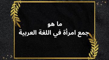 “سؤال جنن كل الطلبة في مصر “.. استاذ جامعي يجيب عن سؤال ماهو جمع كلمة إمرأة في اللغة العربية الفصحى.. الاجابة روشت الطلاب!!