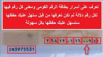 “أسرار صادمة أول مرة أعرفها”.. هل تعلم ما هو معنى ال 14 رقم في بطاقة الرقم القومي؟!.. موظف قديم بالحكومة فهمني كل حاجة!!