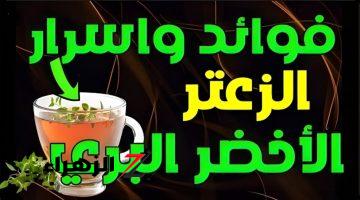 “نبتة الاحلام!”.. تخلصي من مشاكلك وحافظي على شبابك مع هذه العشبة الاستثنائية!