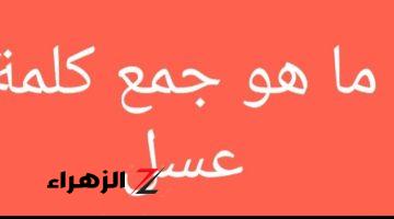 “اللي حلها يبقى مشهور”.. هل تعلم ما هو جمع كلمة”عسل” في اللغة العربية الفصحى!!!!!