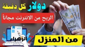 مجانا “هتعمل فلوس بالدولار”.. أفضل 5 طرق الربح من الانترنت للمبتدئين من البيت حقيقية وزيادة الدخل الشهري