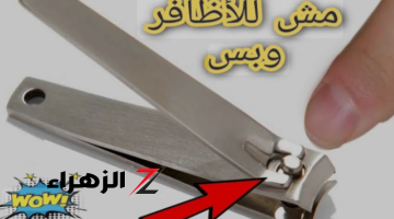 «ياريت عرفنا من زمان».. تعرف على الإستخدامات السحرية التى تقوم بها “قصافة الأظافر” والتي لا غنى عنها في كل بيت.. مش هتخطر على بالك!!!