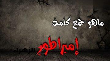 “سؤال حير جميع العباقرة” .. هل تعرف ماهو جمع كلمة “إمبراطور” في اللغة العربية التي عجز عن حلها ملايين الطلاب .. إجابة عمرها ماخطرت على بالك !!!