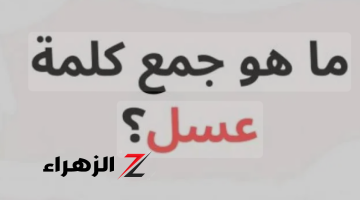 «لغز جنن المعلميين».. ماهو جمع كلمة عسل.. الكلمة التى حيرت الجميع.. سؤال للأذكياء!!