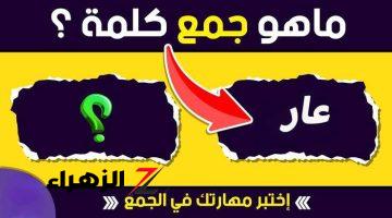 “سؤال حير العباقرة والحريفة نفسهم!”.. هل تعلم ما هو جمع كلمة عار في اللغة العربية؟