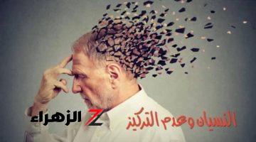 “99% معرفوش يحلوه لحد الآن!!” .. هل تعلم ما هو الشيء الذي كان في بداية خلقة نبات ثم تحول إلى جماد ثم حيوان؟؟ مش هتصدق هو إيه !!!