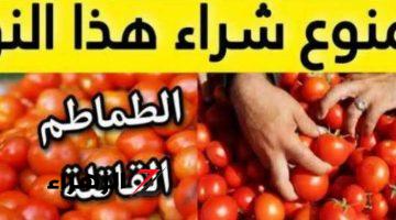 “خد بالك علشان الندم مش هيفيدك!”.. وزاره الزراعة تحذر من شراء هذا النوع من الطماطم تسبب في وفاة عائلة كاملة!!..