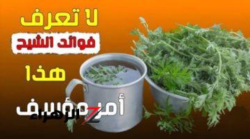 “عشبة لازم تحطها في الحسبان!”… بحر فوائد في هذه النبتة التي ستغير حياتك للأبد!!