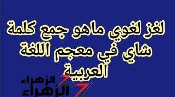 “الاجابة ولا في الاحلام!” .. السؤال الذي حير الطلاب ما هو جمع كلمة شاي في المعجم العربي الفصيح .. إجابة ولا كانت تخطر علي بال المعلمين