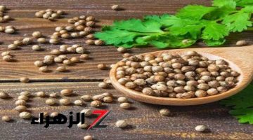 ولا تخطر علي بال الجن الأزرق !!! الكزبرة !! العشبة السحرية في مطبخك لتحسين صحتك وتنقية جسمك