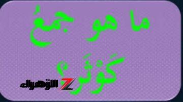 “يا بخت اللي عرف يحلها” .. هل تعلم ما هو جمع كلمة كوثر التي حيرت جميع الطلاب ؟! .. الإجابة مستحيل تخطر على بالك!!!\