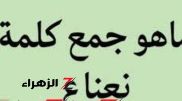 العباقرة معرفوش يحلوها .. ما هو جمع كلمة نعناع في المعجم العربي أبكت ملايين الطلاب ؟ .. إجابة غير متوقعة من استاذ قديم حيرت الطلاب