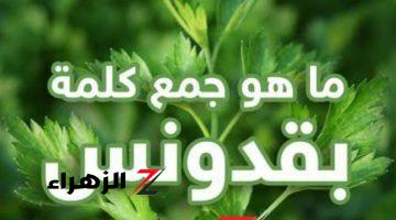 “سؤال مش هيحله غير العباقرة فقط” .. ما هو جمع كلمة “بقدونس” في اللغة العربية التي حيرت طلاب الثانويةالعامة ؟! .. الإجابة مستحيل تخطر على بالك !!!