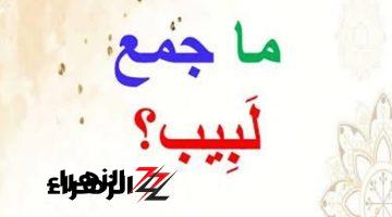 “أبكت جميع الطلاب” .. لن تصدق ما هو جمع كلمة “لبيب” في معجم اللغة العربية؟؟ لو انت عبقري اعرف حلها لوحدك