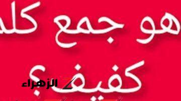 “الطلاب بكوا بسببها”.. ماهو جمع كلمة “كفيف” التي عجز عن حلها آلاف الطلاب في الثانوية العامة .. 99% ماعرفوش يحلوها !!!