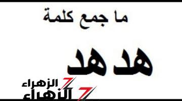 “موتوا نفسهم من العياط بسببها ” .. ما هو جمع كلمة “هدهد” فى اللغه العربية التي سقط بسببها 50% من الطلاب؟! .. إجابة مستحيل تخطر على بالك !!!