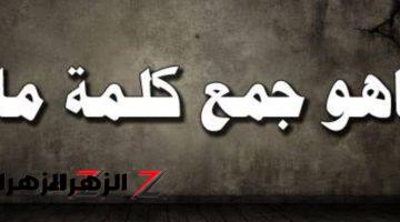 محدش عرف يحلها خالص من الطلاب .. ما هو جمع كلمة «مياة» في اللغة العربية التي حيرت ملايين الطلاب؟؟ أتحداك تعرف تحلها لوحدك