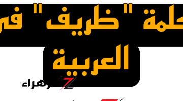 “1% بس اللي عرفوا يحلوها” .. هل تعلم ما هو جمع كلمة “ظريف” التي حيرت ملايين الطلاب؟؟ إجابة غير متوقعة من دكتور جامعي