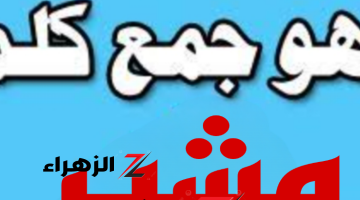 “سؤال عجز عن حله دكاترة الجامعة” .. هل تعلم ماهو جمع كلمة “مشير” التي حيرت ملايين الطلاب .. إجابة الكل بيدور عليها!!!