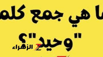 “سؤال سقط جميع الطلاب وحير المدرسين” .. ماهو جمع كلمة “وحيد” في معجم اللغة العربية؟؟ الكل هيتجنن ويعرف حلها ايه؟؟