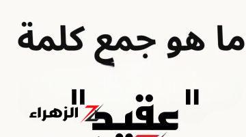 “موتو نفسهم من العياط بسببه” .. هل تعرف حل سؤال جمع كلمة “عقيد” في اللغة العربية ؟! .. محدش عرف الإجابة الصح غير 5% بس!!!