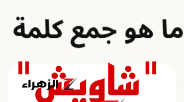 “أتحداك تعرف تحلها لوحدك” .. ماهو جمع كلمة “شاويش” في اللغة العربية؟ السؤال الذي أبكي ملايين الطلاب .. إجابة ماتخطرش على بال حد