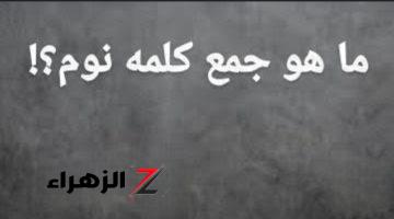 “سؤال حير عباقرة اللغة” .. هل تعلم ما هو جمع كلمة« نوم» في قاموس اللغة العربية؟!! .. دكتور جامعي يوضح الإجابة الصحيحة!!!